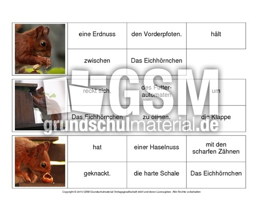 Sätze-bilden-Eichhörnchen 7.pdf